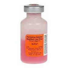 Check spelling or type a new query. Single Dose Dog Vaccines Pet Supplies Online