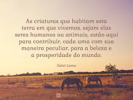 12 Frases De Dalai Lama Que Vao Mudar O Seu Modo De Ver A Vida Pensador