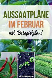 Aussaat Pflanzen Im Februar Beispiel Gartenplan Pflanzen Gemuseanbau In Kubeln Und Pflanzplan