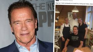 Därför var Arnold Schwarzenegger i Sverige