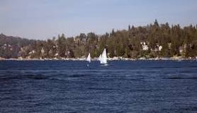 Image result