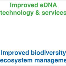 Sample processing steps used for water preservation, eDNA capture and...