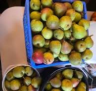 How to make pear jelly?