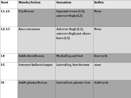 wheeless textbook of orthopaedics