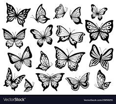 Drawing Butterflies Stencil Butterfly Moth Wings And Flying Insects Butterflies Tattoo S Butterfly Tattoo Stencil Butterfly Stencil Butterfly Tattoo Designs