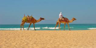 Openbaar strand , maar geen last van pottenkijkers gehad. Emirat Dubai Reiseziele Urlaubsziele Sehenswurdigkeiten