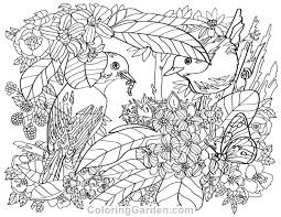 Birds and flowers coloring pages are a fun way for kids of all ages to develop creativity focus motor skills and color recognition. Birds And Flowers Adult Coloring Page