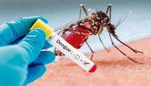 Book doctor appointment consult doctor online. Homemade Remedies To Treat Dengue Fever