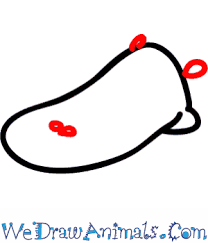 How To Draw A Platypus This adaptation is primarily found in semiaquatic species, and has convergently evolved many times across vertebrate taxa. how to draw a platypus