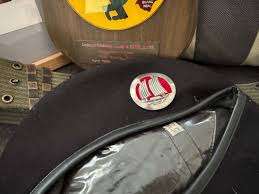 Image result for Brown 1968 Fleet