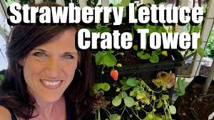 The crates are lined, filled with soil, planted and kept watered with driplines. How To Make A Strawberry Lettuce Crate Tower Growing Vertically Small Space Garden Series 4 Youtube