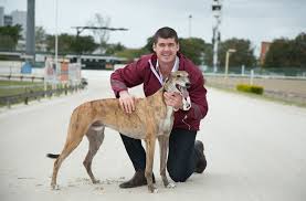 However, each dog is an individual and for some, becoming a house pet can be a major transition, while others will adjust to the comforts and pleasures of home very readily! Retired Qld Legends Jono Brown And Glen Gallon United Grv