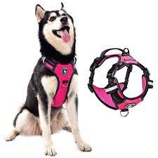 Many are concerned with their dogs tugging and pulling; Amazon Com Meykoo Dog Harness No Pull Soft Breathable Easy Put On Off No Choke Control Training Handle Outdoor Walk Joyride Adjustable Reflective Padded Leash Vest Harness For Small Medium Large Dogs
