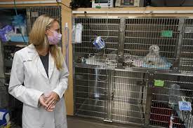 Success stories heather has completed the animal training and enrichment certification at animal behavior institute, inc., and is now working at verrill stables in new hampshire. Covid 19 Pet Boom Has Veterinarians Backlogged Burned Out