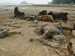 Pantai cantik dengan hamparan pasir cokelat keputihan, ombak yang bersahabat dan memiliki pemandangan yang indah. Pantai Air Manis