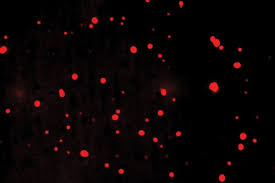 The what's inside team drops a gopro inside a lava lamp to film its swirling goo before building a giant lamp. How Cells Lava Lamp Effect Could Make Cancer Drugs More Powerful