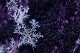 Winter holiday bricks background merry christmas winter postcard background winter background with fly snowflake Snow Flake Macro Winter Holiday Background Ice Detail Abstract Weather Pxfuel
