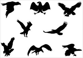 Flying Eagle Silhouette Vector Graphics Clipart Best Clipart Best Animal Silhouette Eagle Silhouette Silhouette Vector