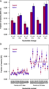 (cytology) of an organism, having diploid cells. The Genome Wide Rate And Spectrum Of Spontaneous Mutations Differ Between Haploid And Diploid Yeast Pnas