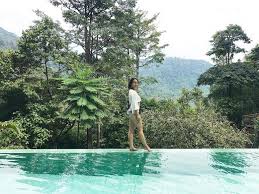 10 Secret Forest Resorts In Malaysia For A Relaxing Getaway