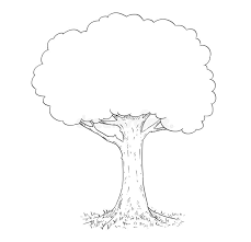Learn about the different pen tools in adobe photoshop and how you can use them to draw lines, curves, shapes, and paths. Drawing Simple Pencil Oak Tree Tree Drawing