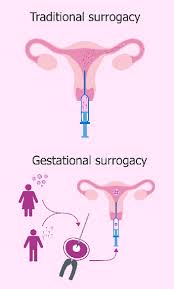 Choosing between adoption and surrogacy. Surrogacy Process In Ukraine Step By Step Fertility Centre Ukraine