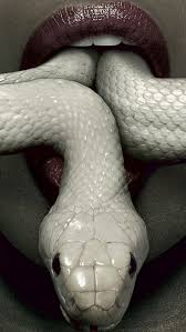 Part of american horror story. Iphone 7 Plus Snake Wallpaper American Horror Story Coven Snake 97760 Hd Wallpaper Backgrounds Download