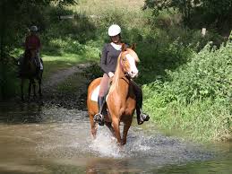 Pain De Sucre Et Rochers Des Parcs Le Vey Normandie Tourisme