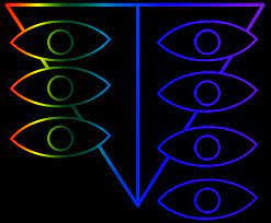 Seele Evangelion Fandom Neon genesis evangelion (新世紀エヴァンゲリオン) is a 1995 anime series produced by studio gainax and directed by hideaki anno. seele evangelion fandom