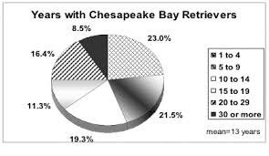 Chesapeake Bay Retriever Color Chart Goldenacresdogs Com