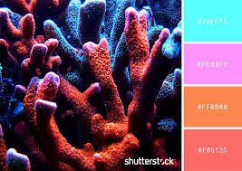 Worthy of note is that coral is a. 25 Eye Catching Neon Color Palettes To Wow Your Viewers