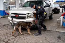 Life saving measures! Franklin County Sheriff Dallas Baldwin is grateful  for the swift actions of Deputy Kent Romine after he responded to a call  for help