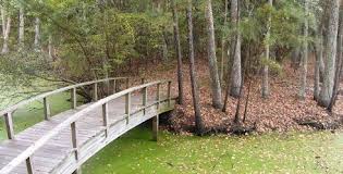 Nags Head Woods Ecological Preserve Ncpedia Outer Banks Beach Nature Conservation Outer Banks North