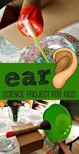 This collection includes fun ideas that encourage young children to explore in a variety of ways! Ear Model Anatomy Science Project