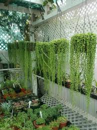 Pin On Planters
