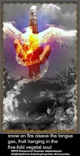 Pin On Mythopoetics In Culture Mythopoetry Com Blog