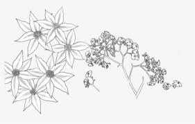 We did not find results for: Flower Drawing Png Images Free Transparent Flower Drawing Download Kindpng