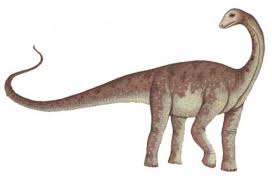 Check spelling or type a new query. Titanosaurus Cool Dino Facts Wiki Fandom