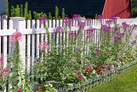We did not find results for: Ask A Question Forum How To Protect Plants From Weed Killer Garden Org