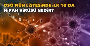 Wuhan'daki yeni tip corona virüs örnekleri ilk inceleyenlerden bir olan taylandlı nipah virüsü dünya sağlık örgütü (dsö) araştırma ve geliştirme fonlarına nasıl öncelik. Yl Xlhyktmig0m
