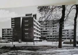 statenhoek emmen