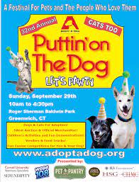 Social distancing measures and stiffer competition are forcing prospective pet owners to use zoom and social media to find and meet new furry friends. Animal Rescue Adoption Party In Greenwich On Sunday