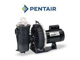 Buy in monthly payments with affirm on orders over $50. Pentair Challenger Pool Pump 346249