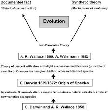 The key mechanism of evolution. The Modern Theory Of Biological Evolution An Expanded Synthesis Springerlink