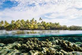 Maybe you would like to learn more about one of these? How To Split Underwater Photos Improve Photography