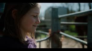 Wool Coat (Short 2024)