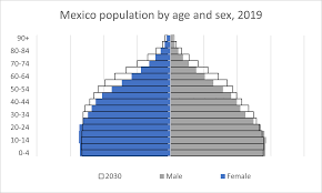 Which type of fast food (burger fast food, chicken fast food, asian fast food etc.) is expecting the greatest level of growth over the next five years? A Ban On Junk Food In Mexico Market Research Blog