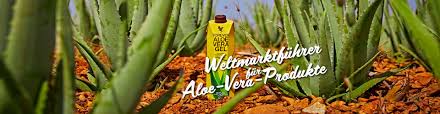 Aloe is a succulent plant that has long been applied to the skin in gel form and taken by mouth as a folk medicine and natural health remedy. Forever Living Products Germany