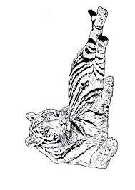 partage coloriage tigre dessin d animal livre de roi lion pdf