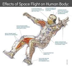 Pin By Futurism On Interesting Human Body Systems Human Body Space Pictures